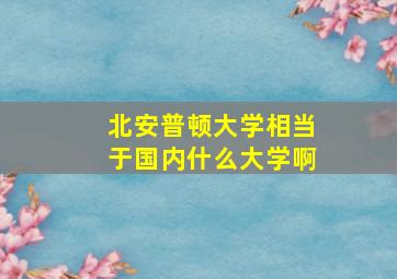 北安普顿大学相当于国内什么大学啊