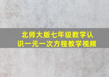 北师大版七年级数学认识一元一次方程教学视频