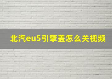 北汽eu5引擎盖怎么关视频