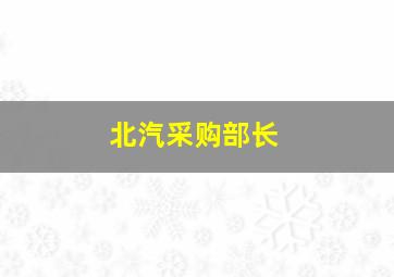 北汽采购部长