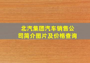 北汽集团汽车销售公司简介图片及价格查询