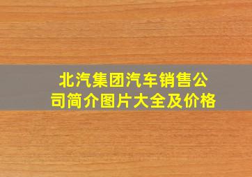 北汽集团汽车销售公司简介图片大全及价格