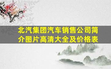 北汽集团汽车销售公司简介图片高清大全及价格表