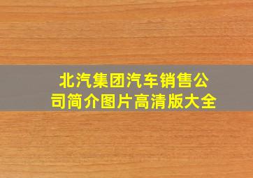 北汽集团汽车销售公司简介图片高清版大全