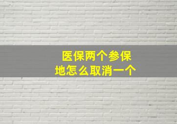 医保两个参保地怎么取消一个