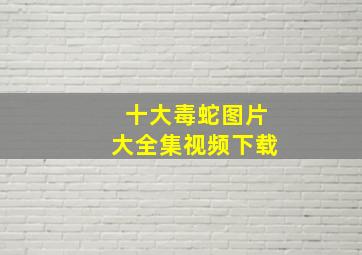 十大毒蛇图片大全集视频下载