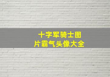 十字军骑士图片霸气头像大全