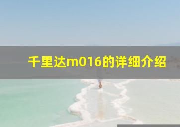 千里达m016的详细介绍