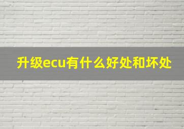 升级ecu有什么好处和坏处