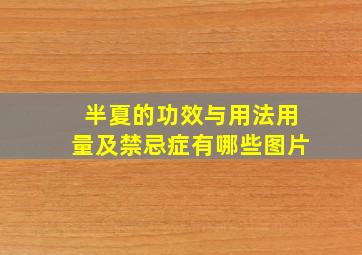 半夏的功效与用法用量及禁忌症有哪些图片