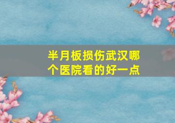 半月板损伤武汉哪个医院看的好一点