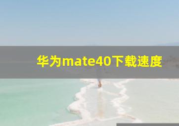 华为mate40下载速度