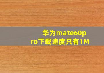 华为mate60pro下载速度只有1M