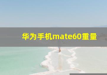 华为手机mate60重量