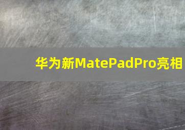 华为新MatePadPro亮相