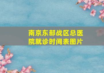 南京东部战区总医院就诊时间表图片