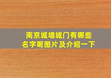 南京城墙城门有哪些名字呢图片及介绍一下