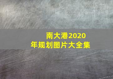 南大港2020年规划图片大全集