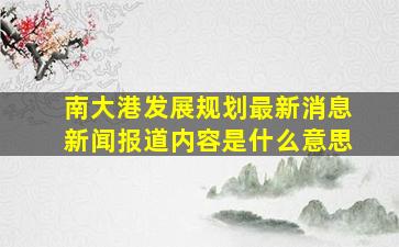 南大港发展规划最新消息新闻报道内容是什么意思