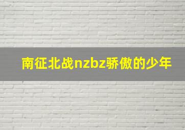 南征北战nzbz骄傲的少年