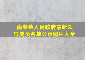 南港镇人民政府最新领导成员名单公示图片大全