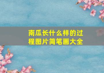 南瓜长什么样的过程图片简笔画大全