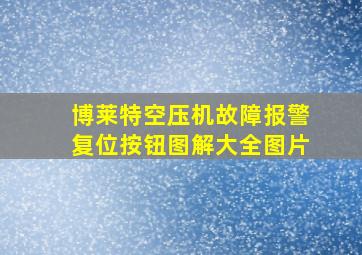 博莱特空压机故障报警复位按钮图解大全图片