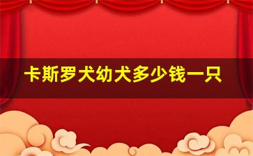 卡斯罗犬幼犬多少钱一只