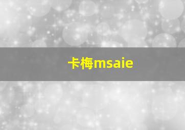 卡梅msaie