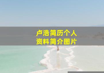 卢浩简历个人资料简介图片