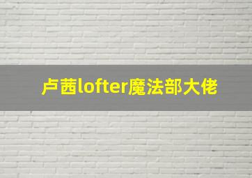 卢茜lofter魔法部大佬