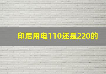 印尼用电110还是220的