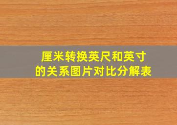 厘米转换英尺和英寸的关系图片对比分解表