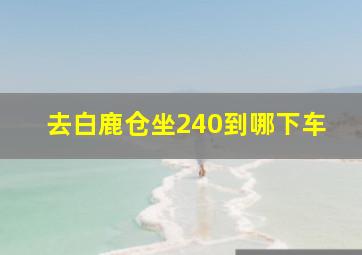 去白鹿仓坐240到哪下车