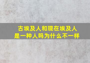 古埃及人和现在埃及人是一种人吗为什么不一样