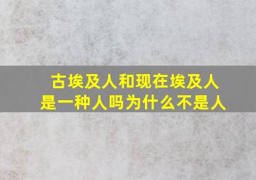 古埃及人和现在埃及人是一种人吗为什么不是人