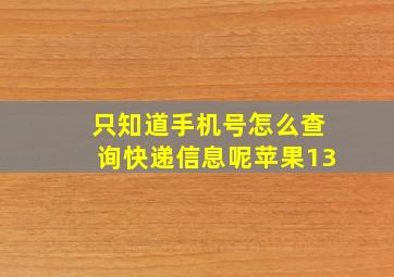 只知道手机号怎么查询快递信息呢苹果13