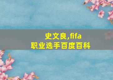 史文良,fifa职业选手百度百科