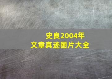 史良2004年文章真迹图片大全