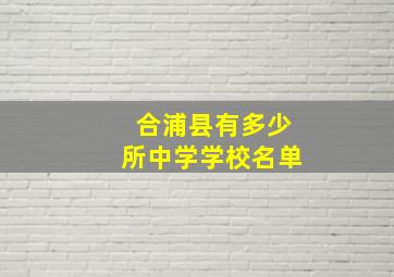 合浦县有多少所中学学校名单