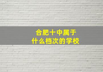 合肥十中属于什么档次的学校