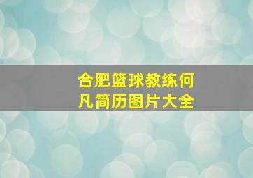 合肥篮球教练何凡简历图片大全