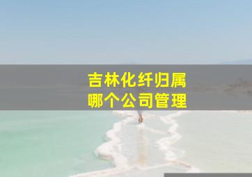 吉林化纤归属哪个公司管理