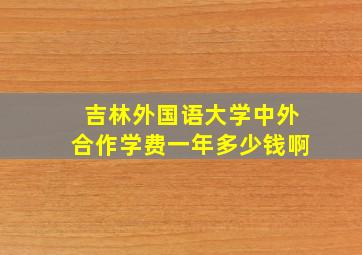 吉林外国语大学中外合作学费一年多少钱啊