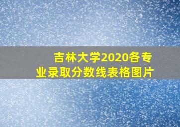 吉林大学2020各专业录取分数线表格图片