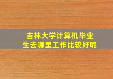 吉林大学计算机毕业生去哪里工作比较好呢