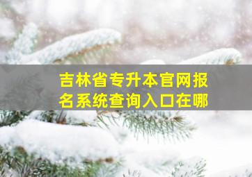 吉林省专升本官网报名系统查询入口在哪