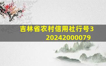 吉林省农村信用社行号320242000079