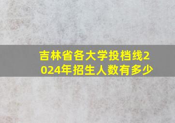 吉林省各大学投档线2024年招生人数有多少