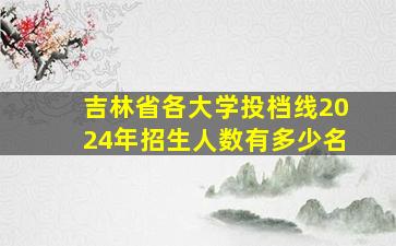 吉林省各大学投档线2024年招生人数有多少名